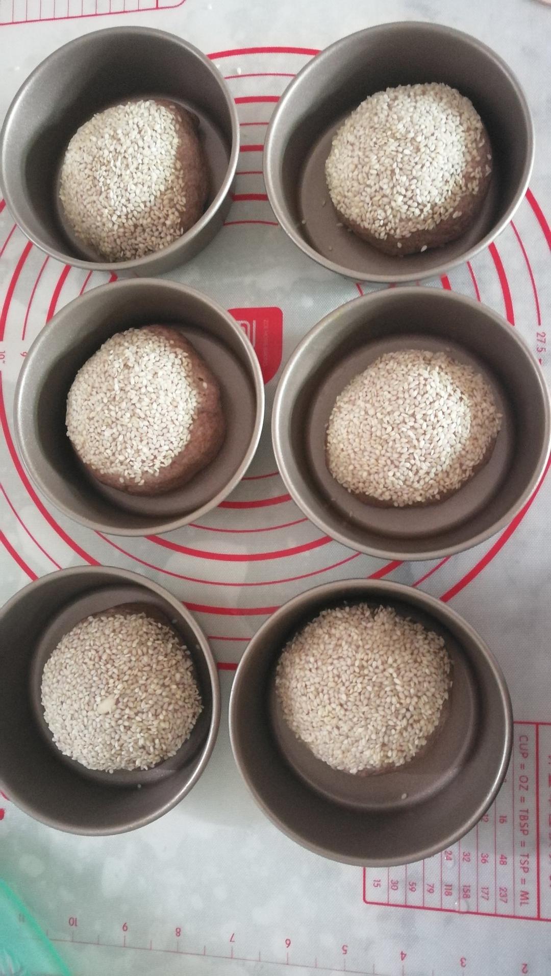 黑麦吐司 70%黑麦 波兰种