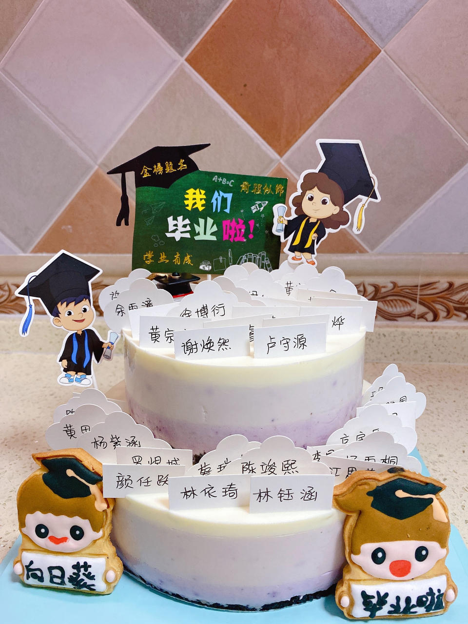 渐变蓝莓冻芝士蛋糕（免烤）