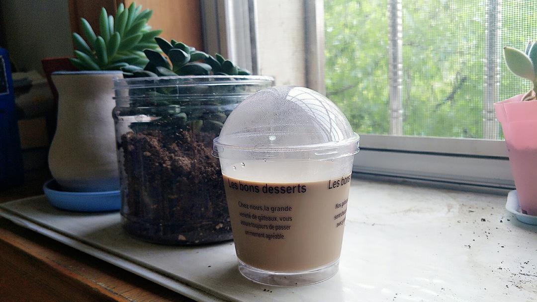 咖啡奶酪布丁（免烤）