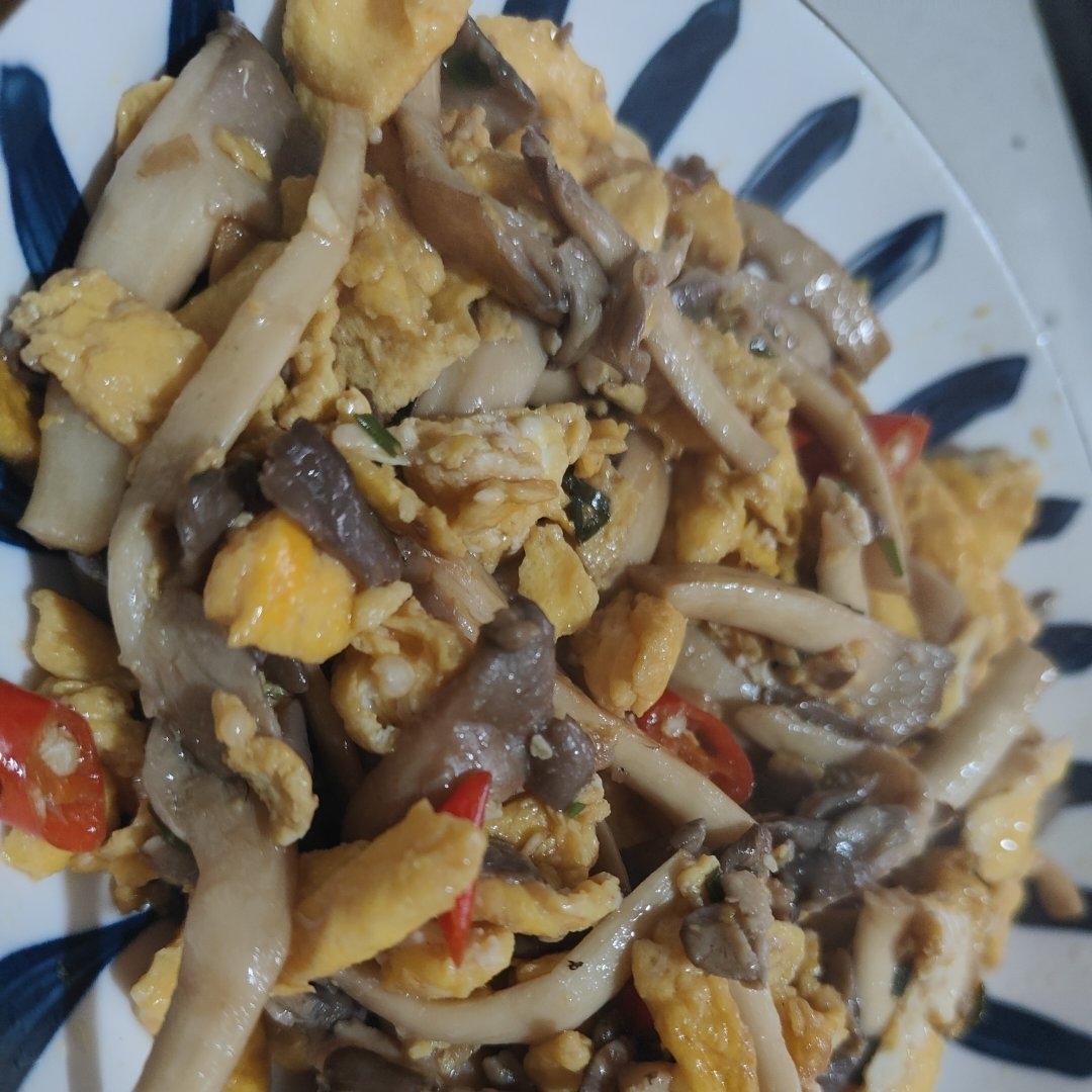 蘑菇炒鸡蛋	平菇这样炒，鲜美无比巨好吃