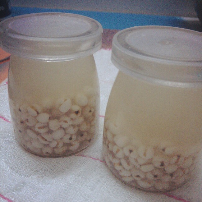 蜂蜜薏仁水