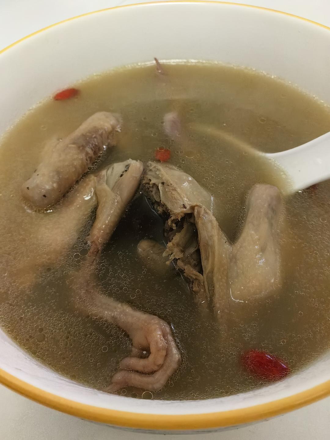 零失败养生鸽子汤