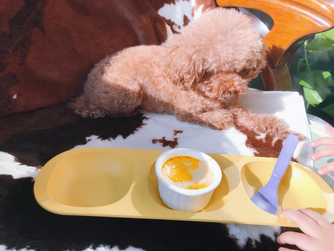 无糖大米布丁🍮