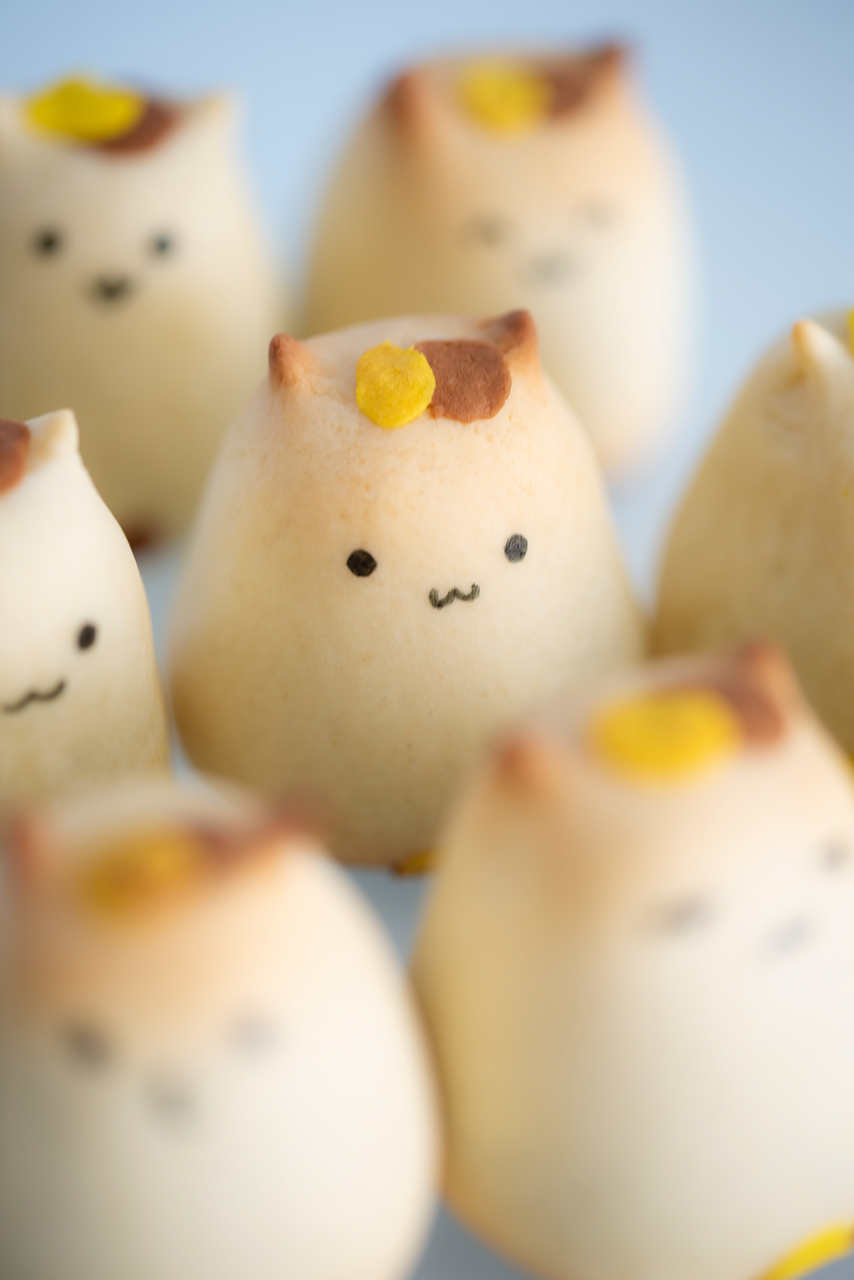 软萌可爱的日式猫咪烧果子 奶香浓郁 超简单