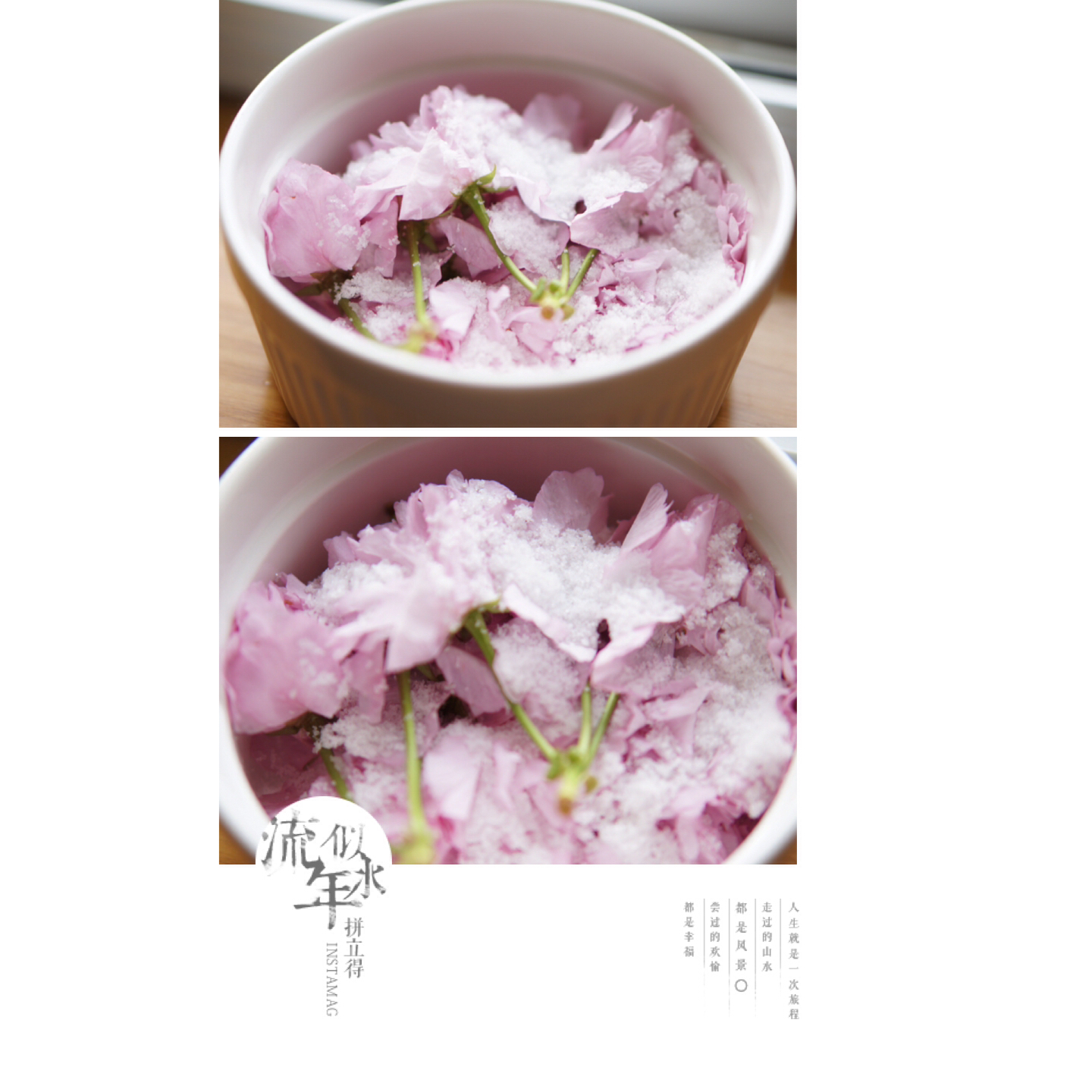 盐渍樱花