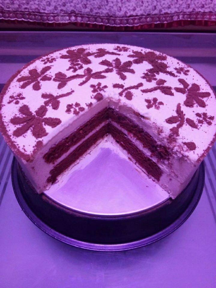 《Tinrry+》提拉米苏