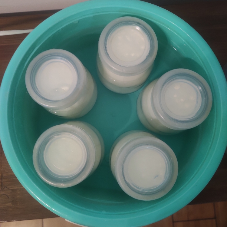 家庭自制酸奶