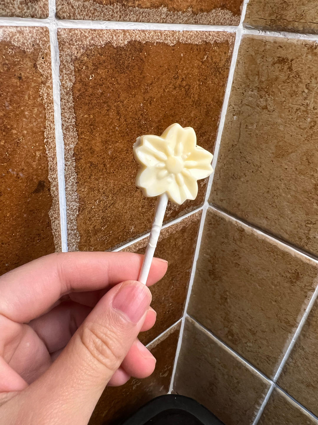 自制奶酪棒