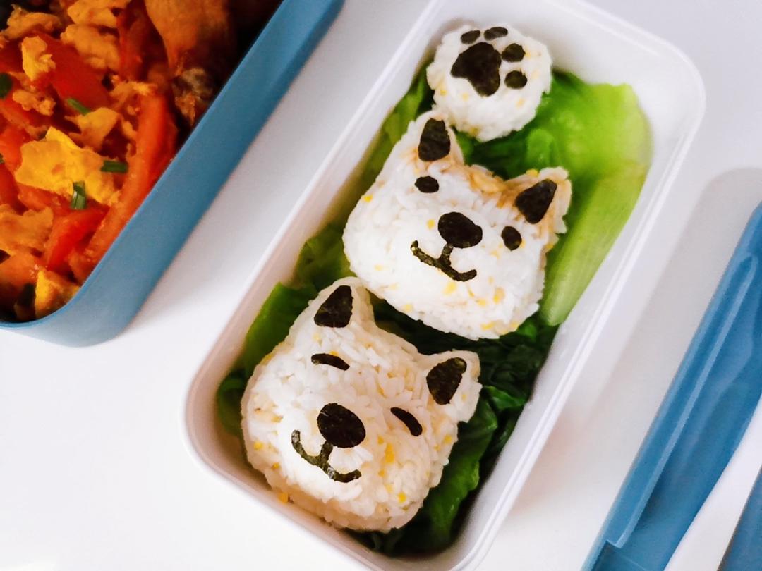 kiki的快乐便当🍱