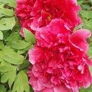 手机用户0969_qhzt