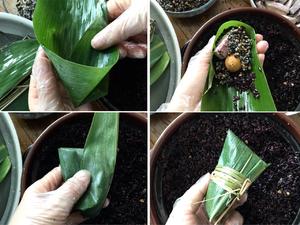 营养香糯📕黑糯米芝麻芋头甜粽的做法 步骤10