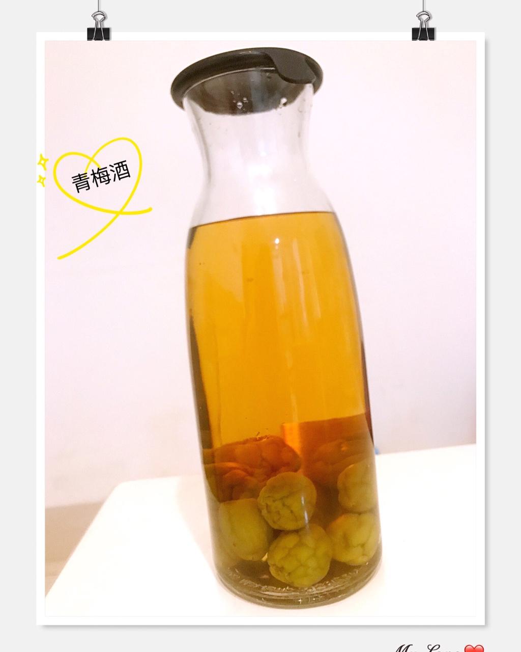 【青梅酒】梅子的沉醉时光（已填坑）