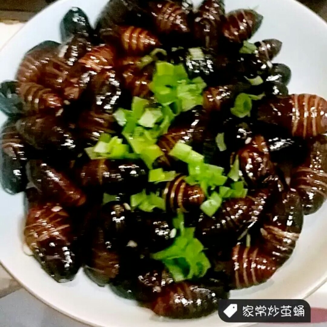 家常炒茧蛹