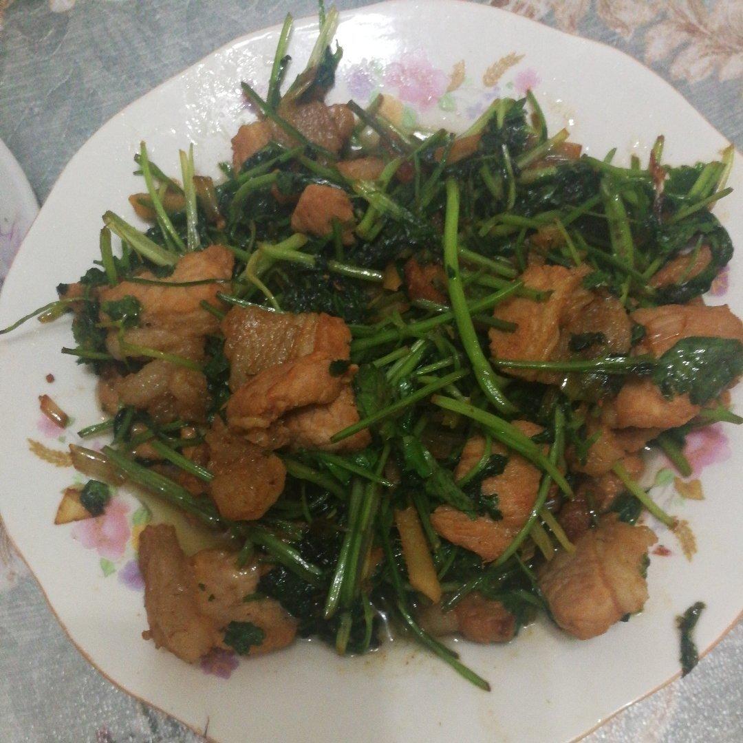 香菜炒牛肉（附菜根香做法）