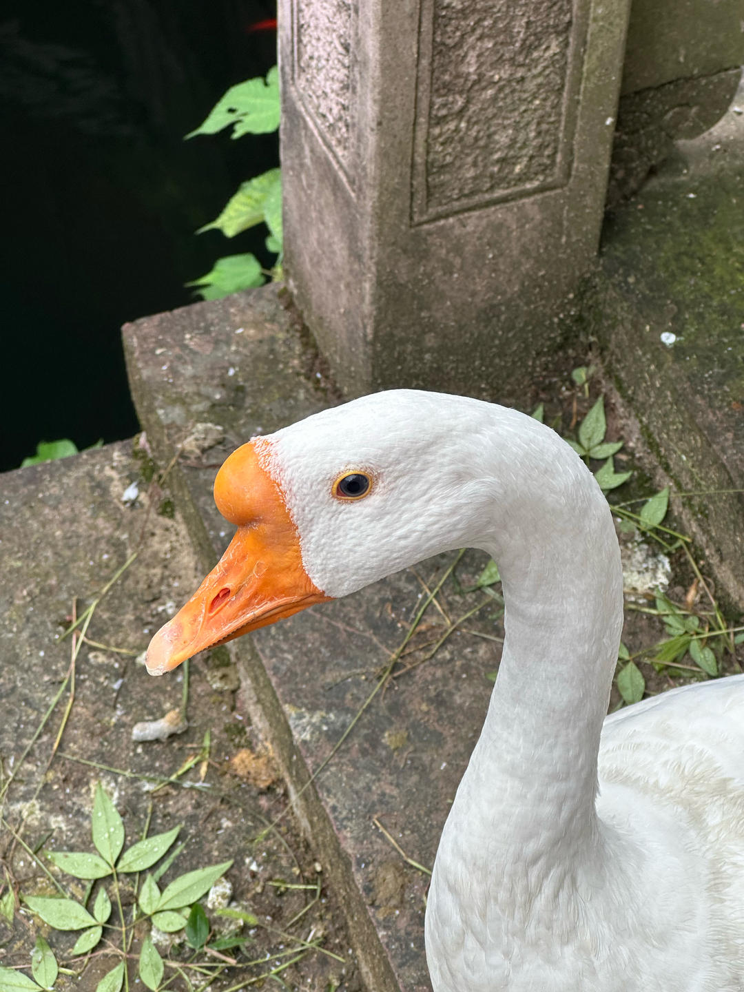 天天下