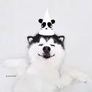 Re_damancy