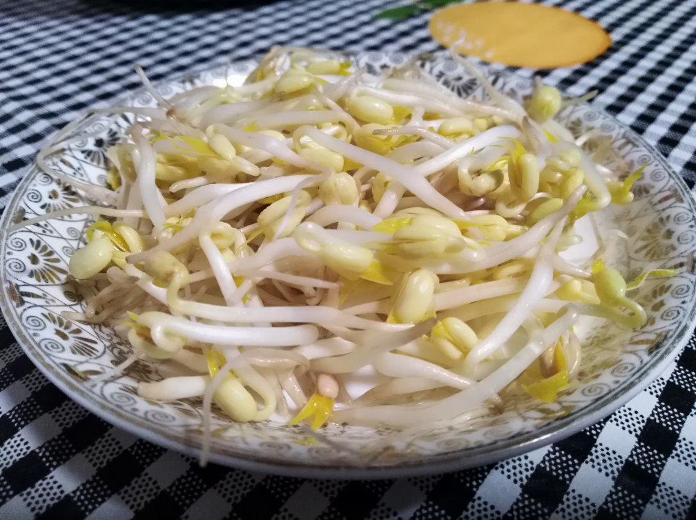 自发豆芽（可乐瓶发豆芽0失败！）