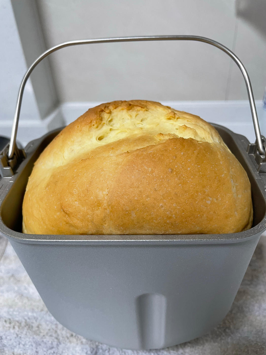 新手吐司-松下面包机P1000