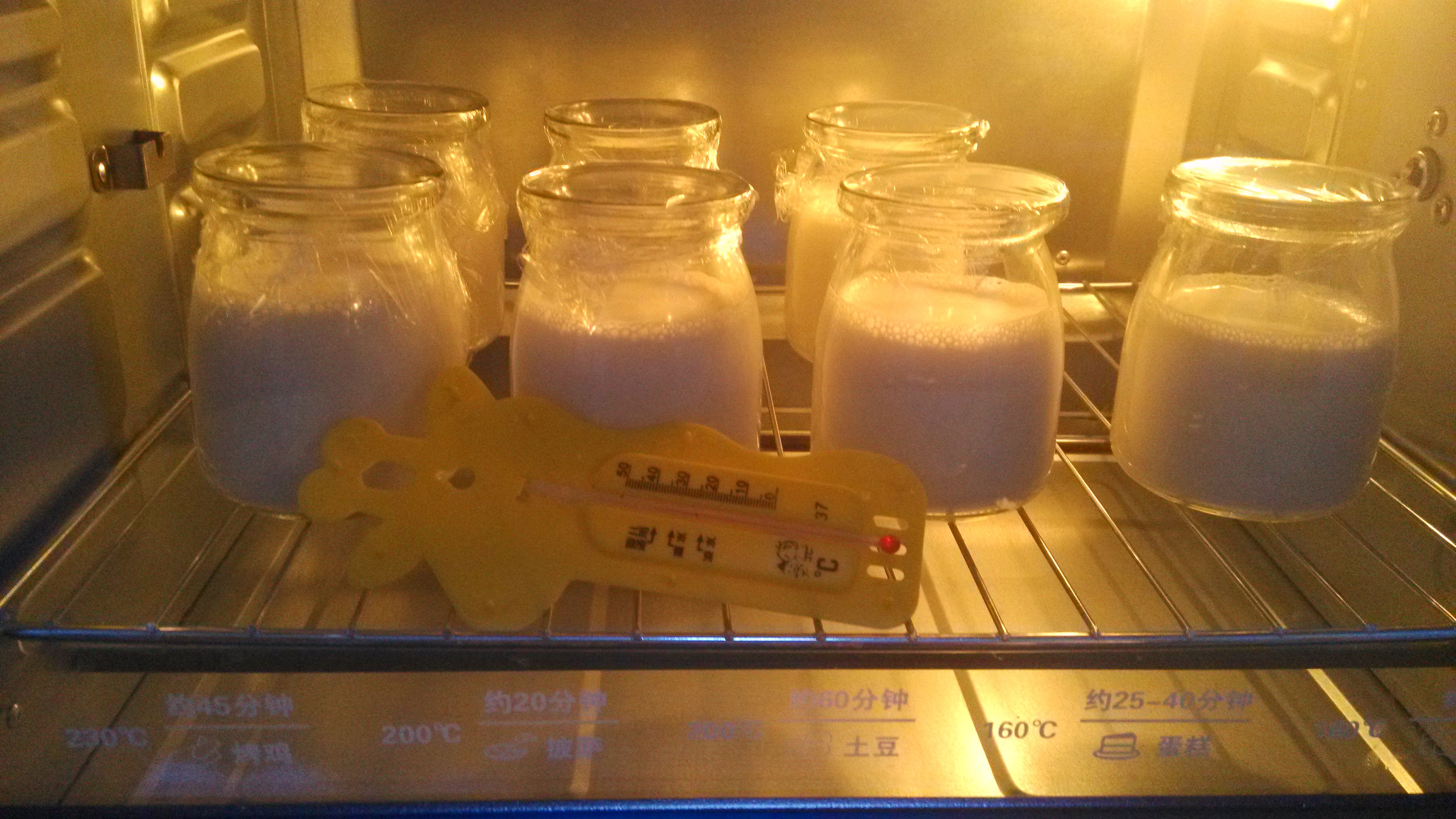 烤箱自制酸奶