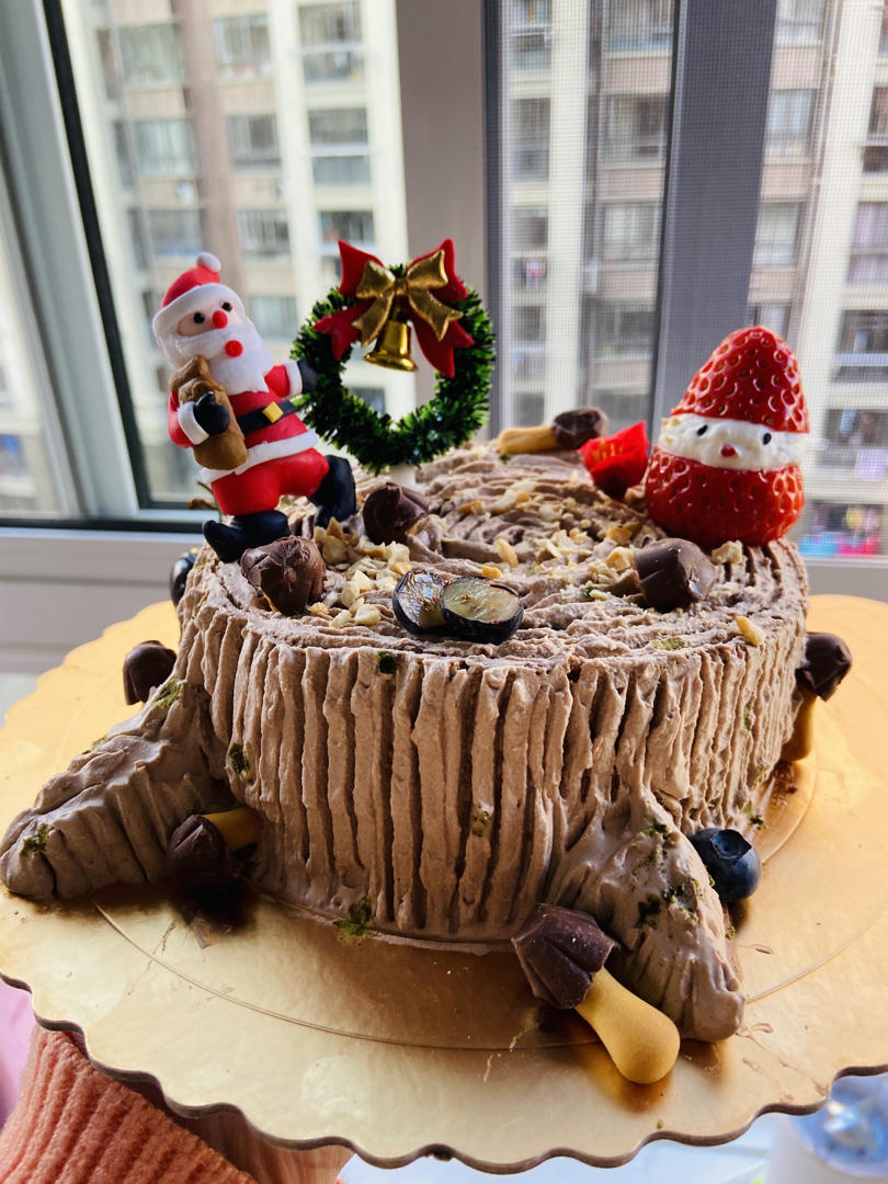 树桩蛋糕（无需抹面技巧）