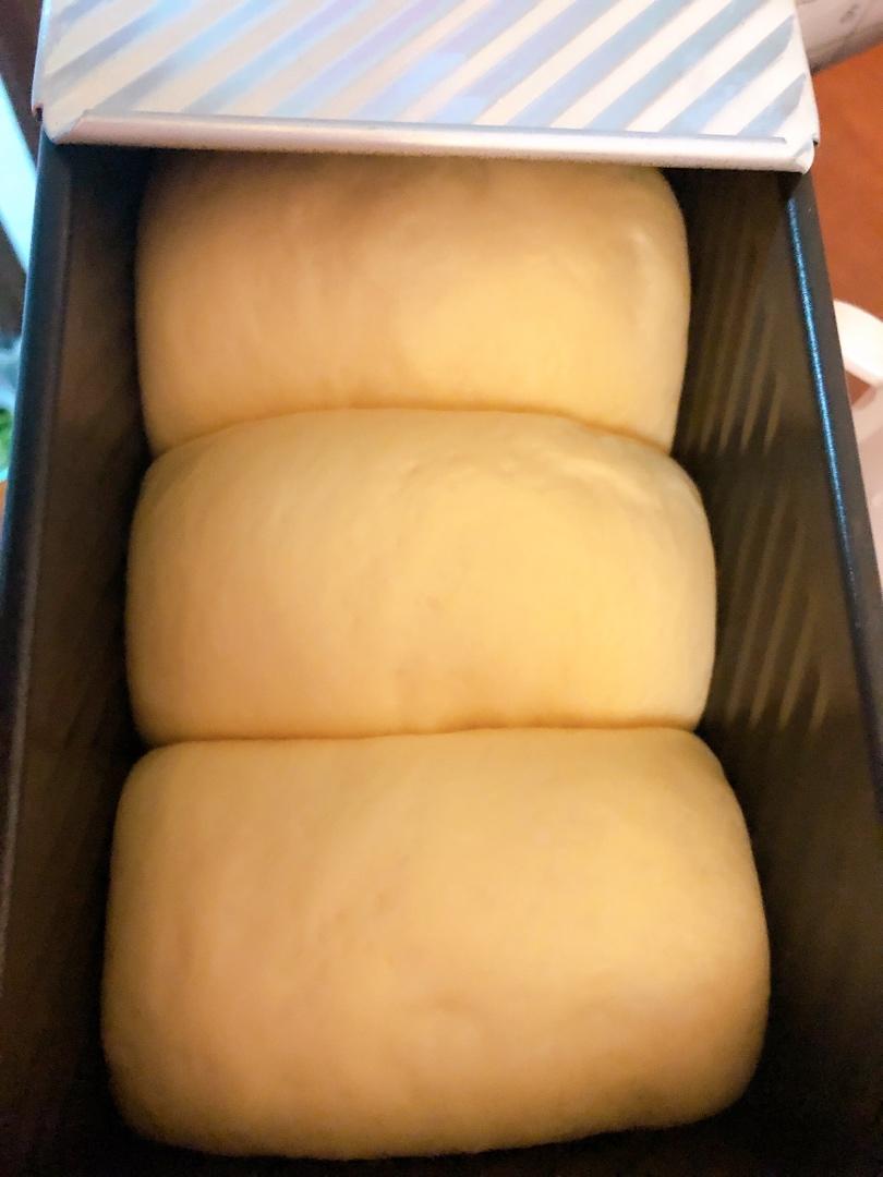 用烤箱自己做面包--手工牛奶吐司面包