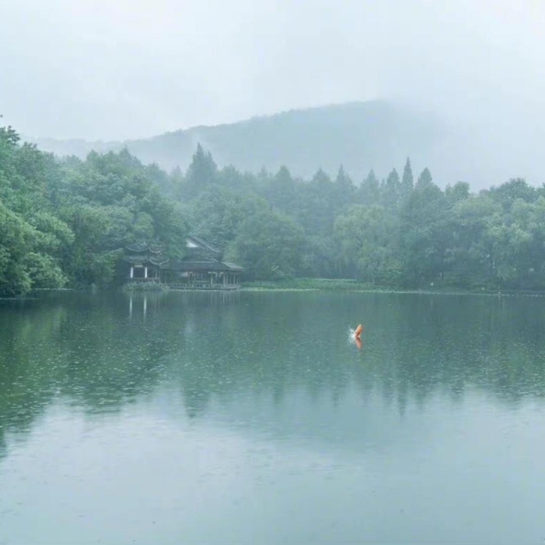 清欢36