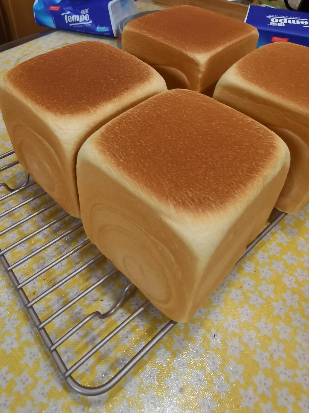 🍞10X10水立方｜可爱小吐司｜经典白吐司