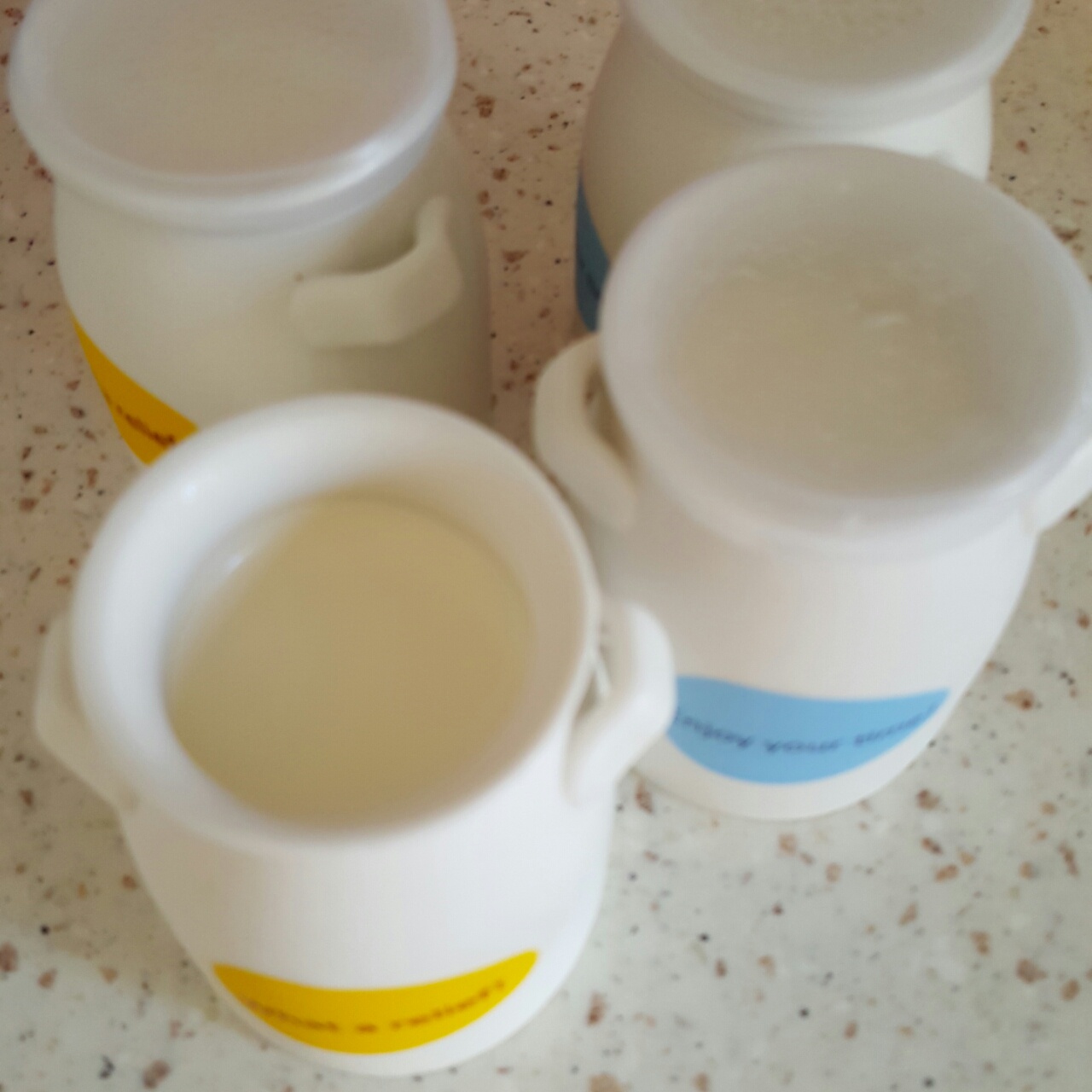 自制酸奶（面包机版）