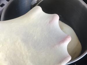一次发酵，松软拉丝的牛奶小餐包的做法 步骤3