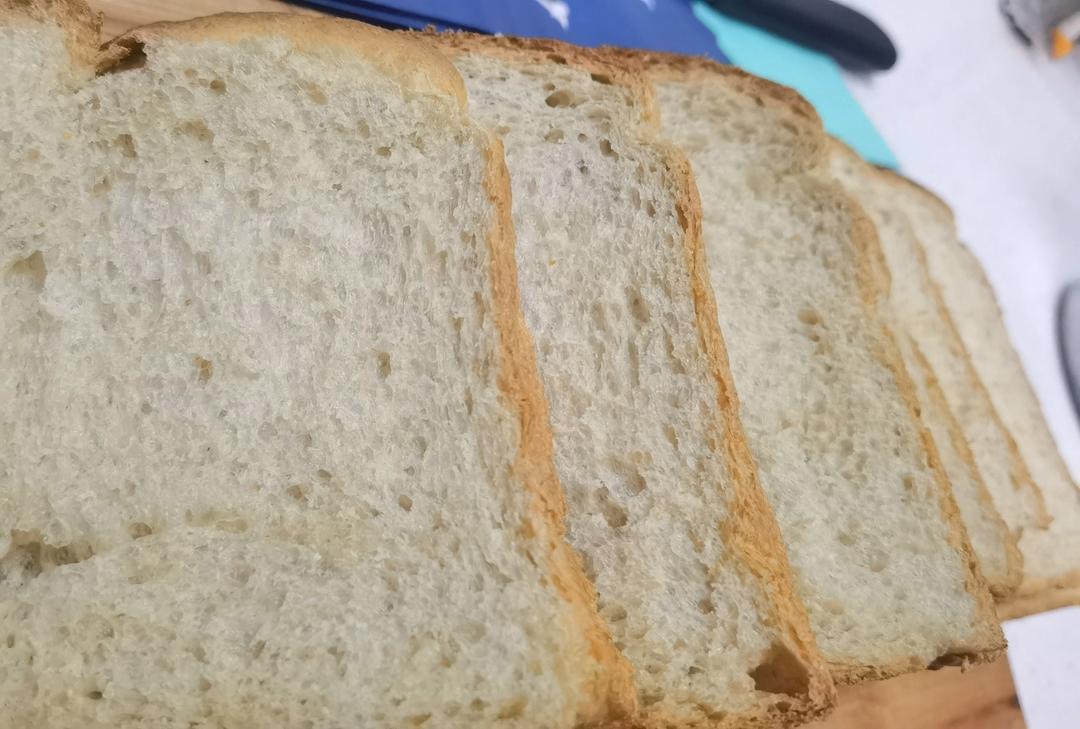 波兰种全麦吐司（40%全麦）