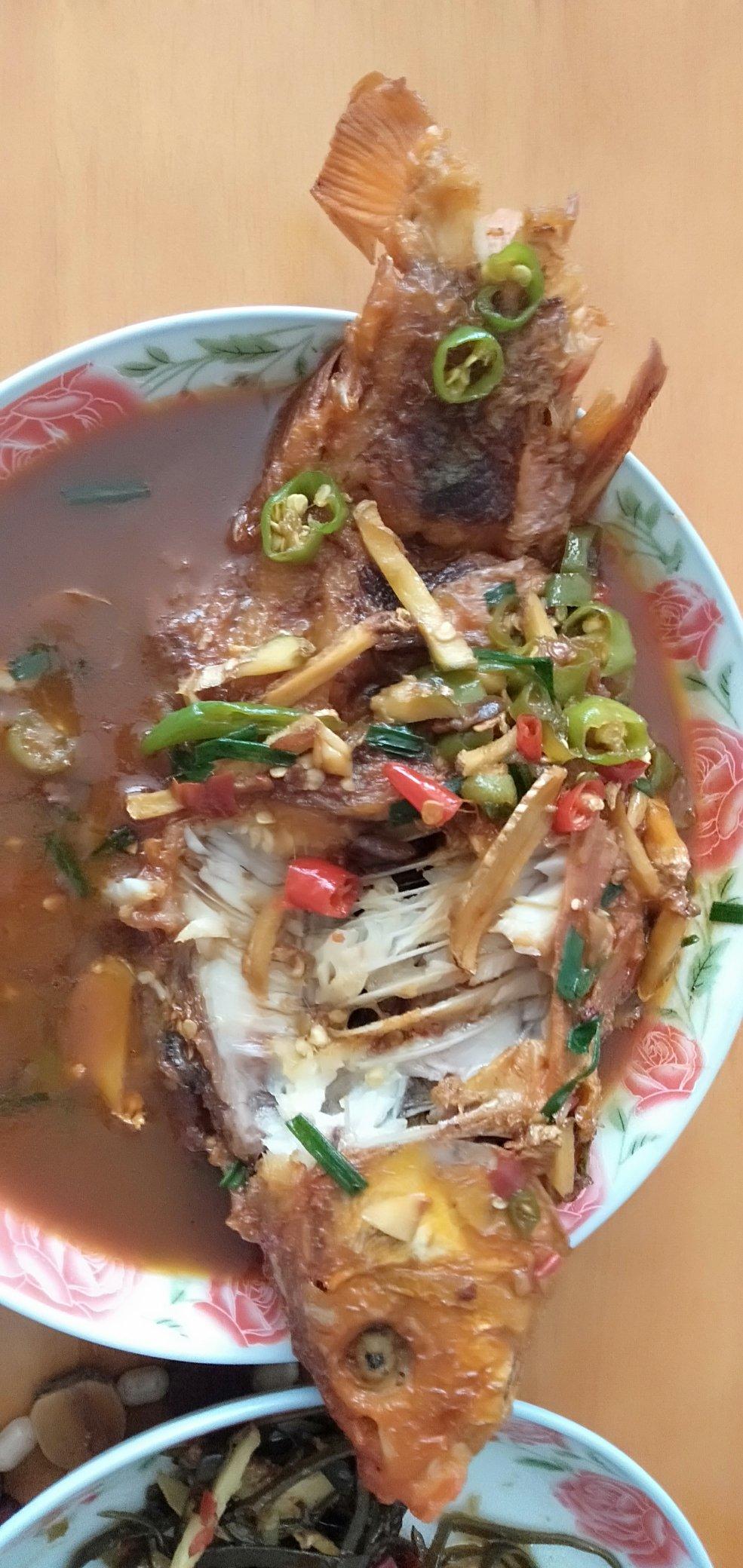 新手也能做的红烧鱼