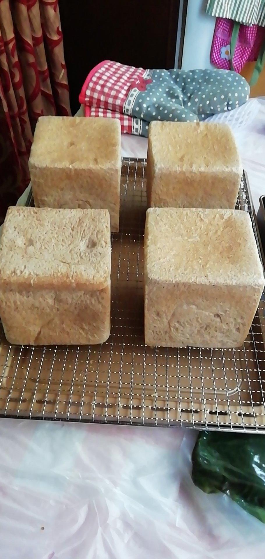 中种法全麦水立方吐司