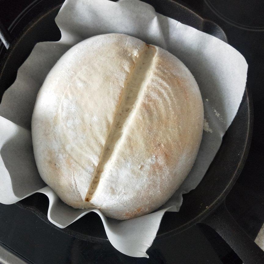 【Tartine Bread】天然酵种基础乡村欧包