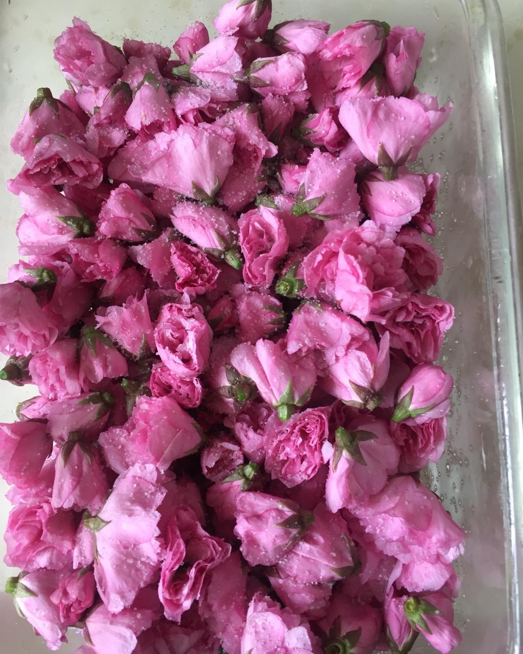 捕刺客打刺客,做的盐渍樱花