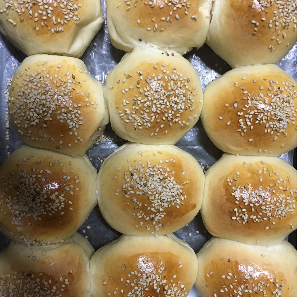 鲜奶油小餐包（一次发酵）