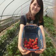 褚夭夭要瘦成一道闪电