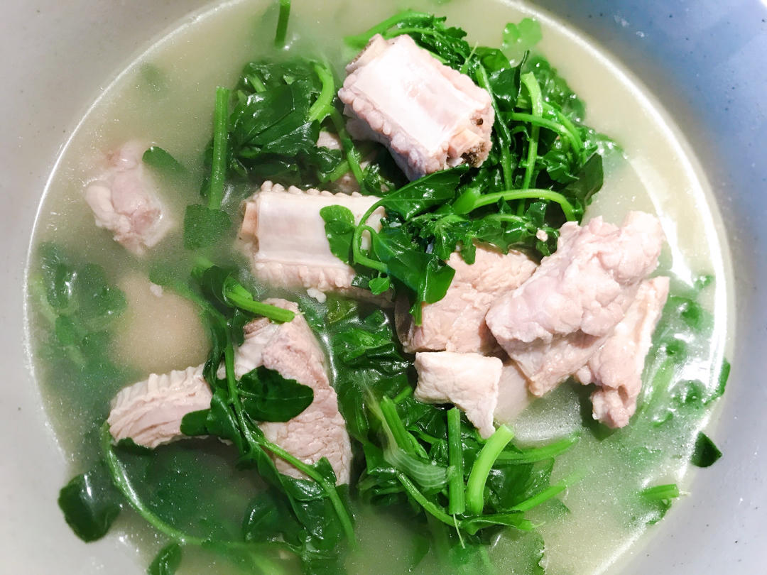 幸福快乐的北方人做的西洋菜排骨汤