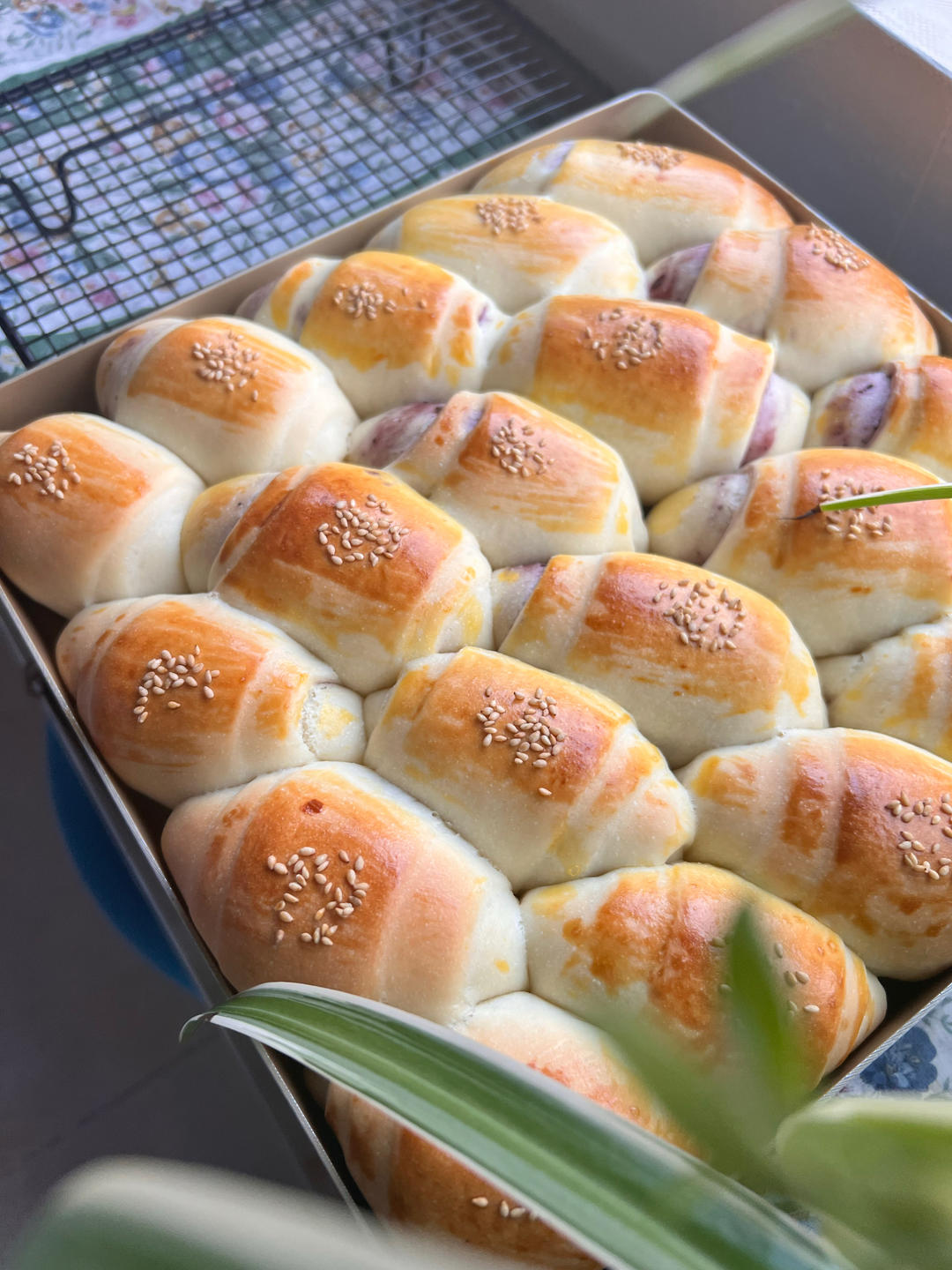 牛奶面包卷（直接法）