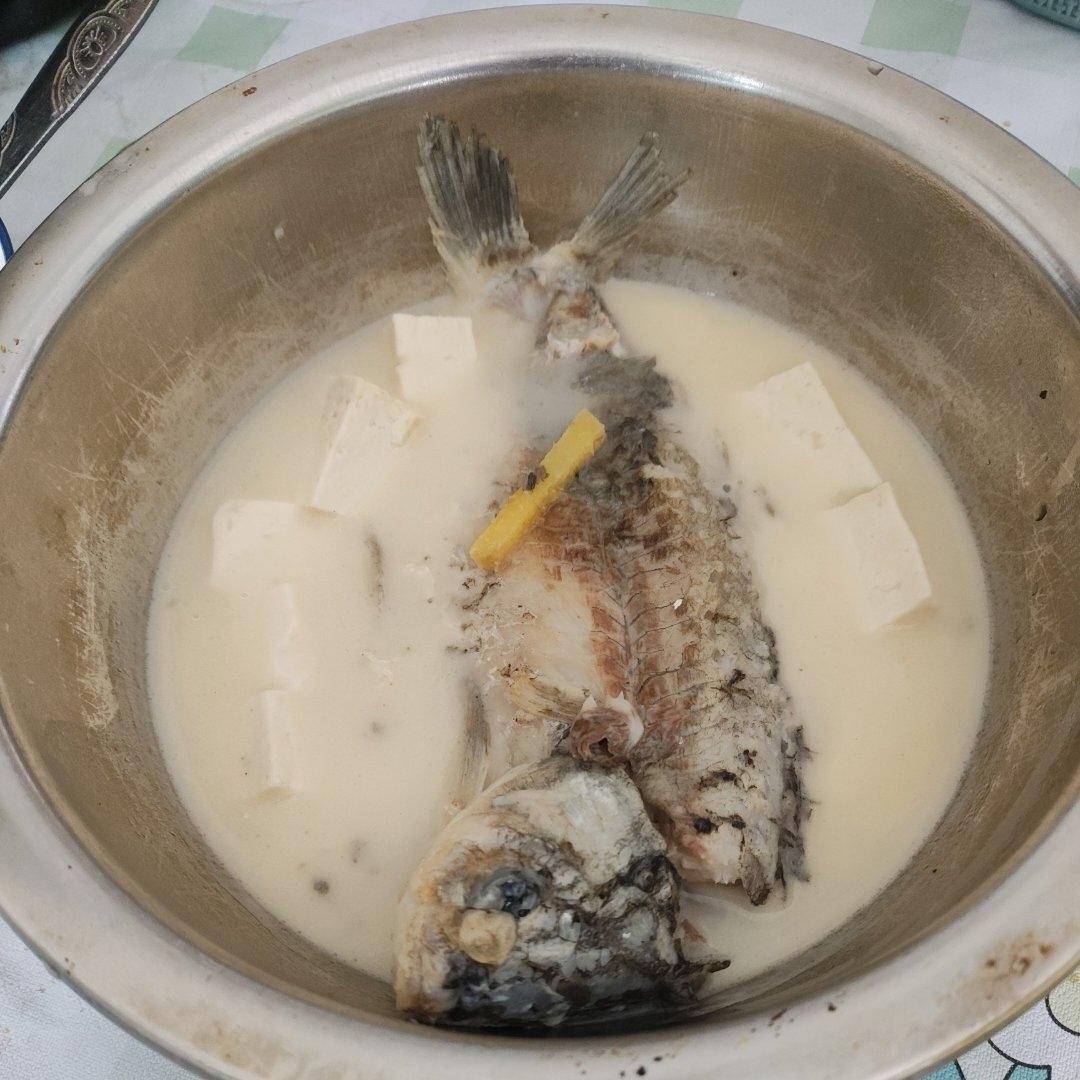 清炖鲫鱼汤 三个关键步骤让你轻松炖出汤浓味鲜色白似奶的鲫鱼汤