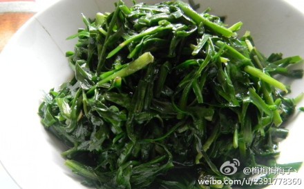 素炒韭菜