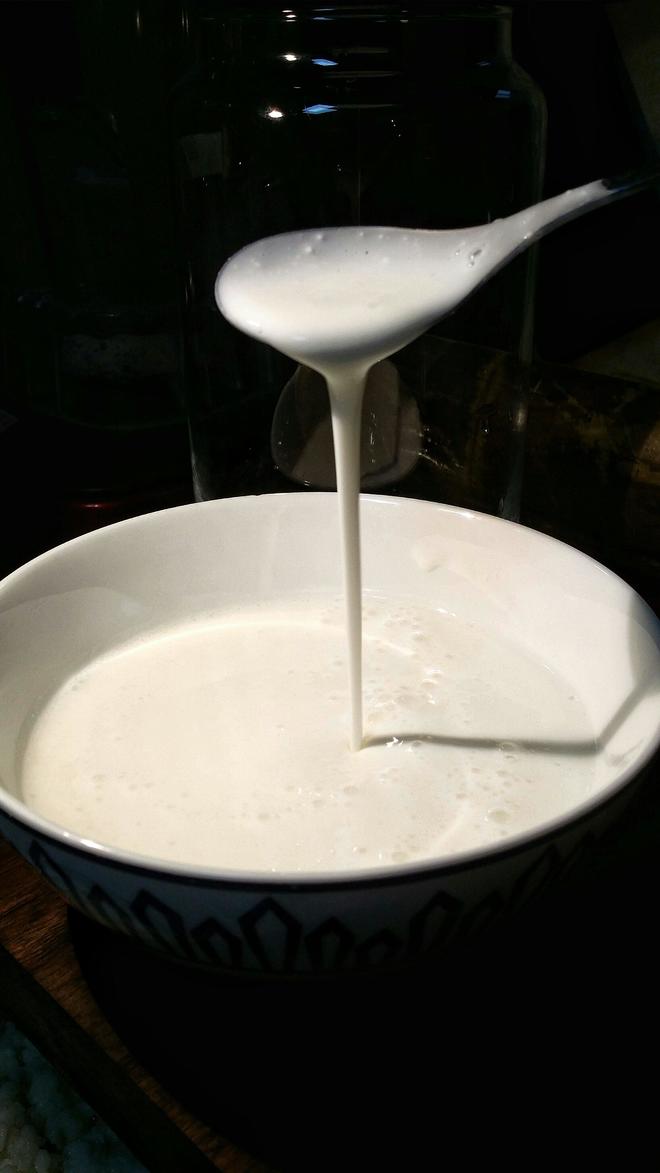 自制天山雪莲菌酸奶的做法