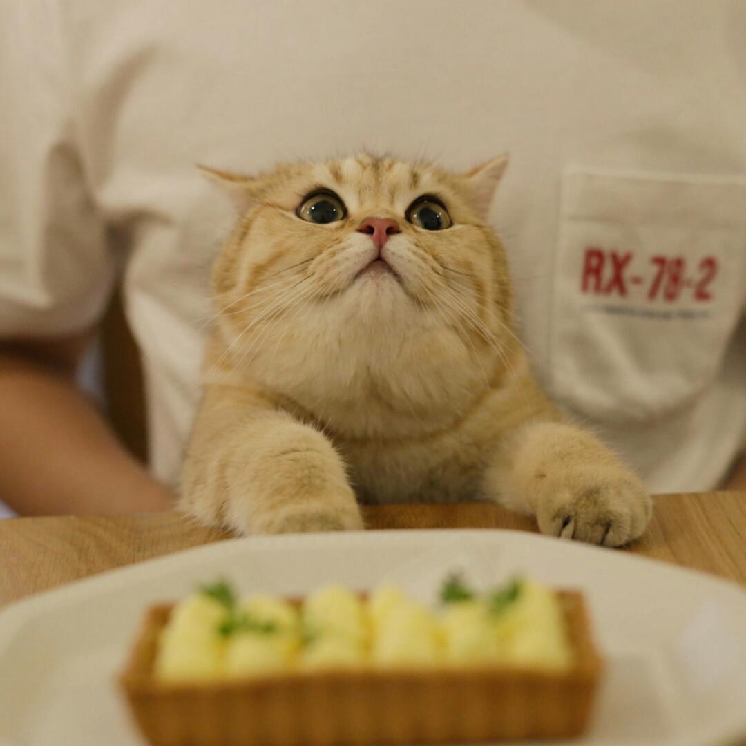 几时来吃