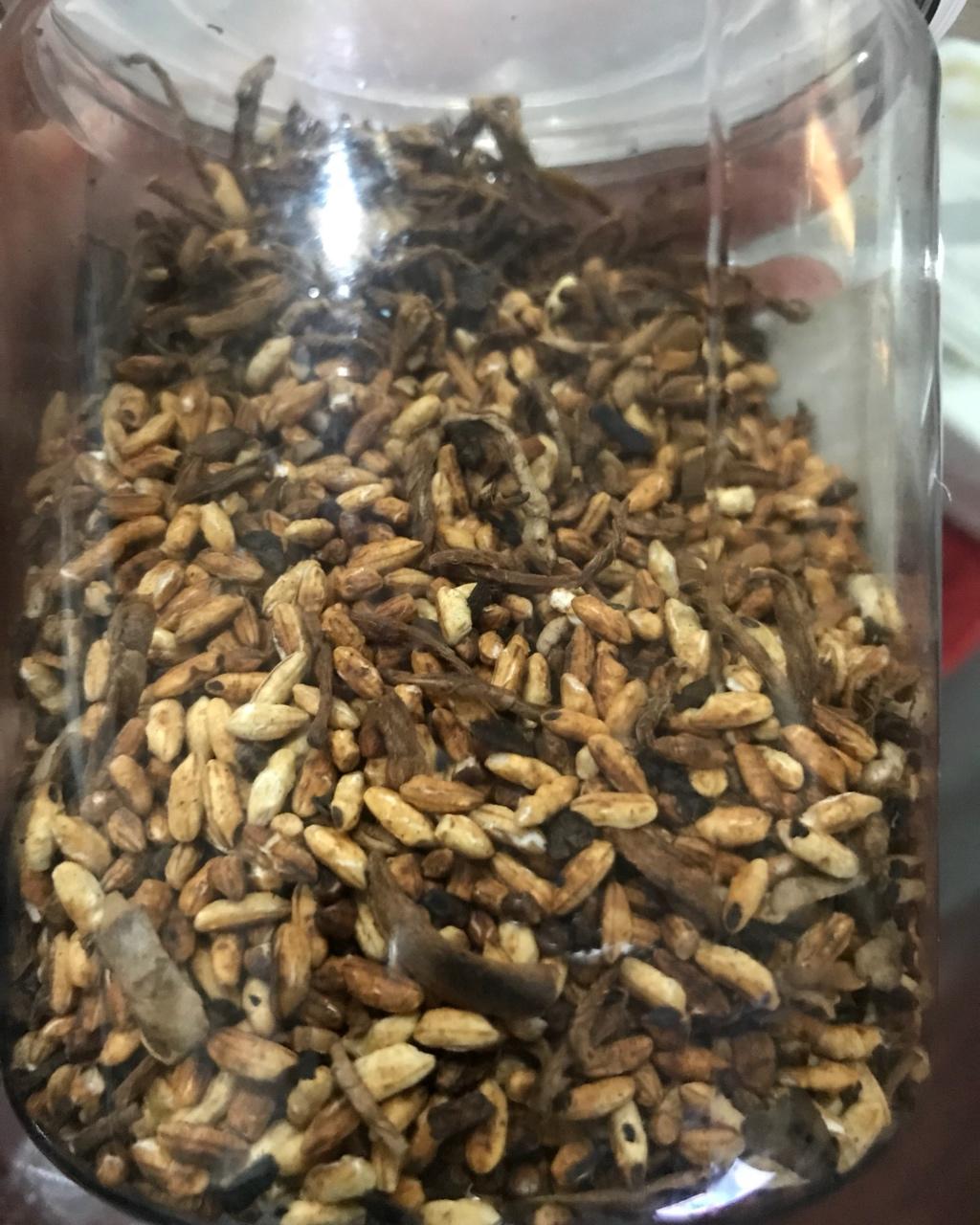 姜米茶