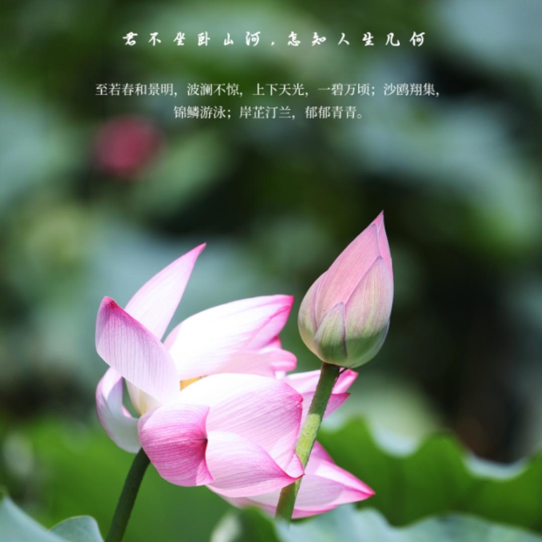 马大姐家的厨房