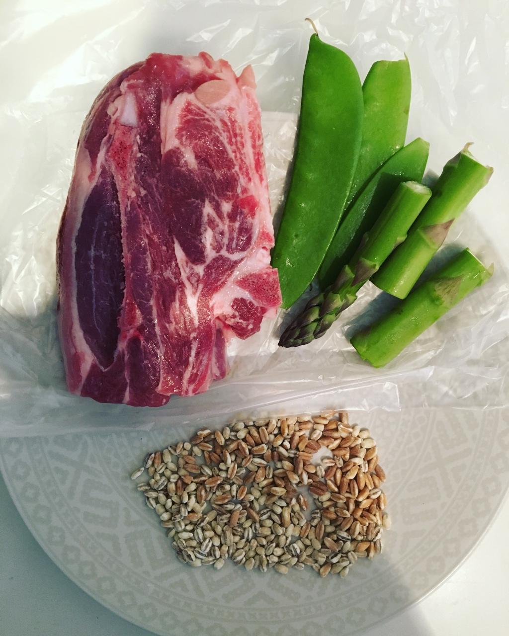 狗狗鲜食——色彩的密码
