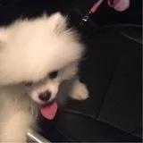 B哥唱歌给你听