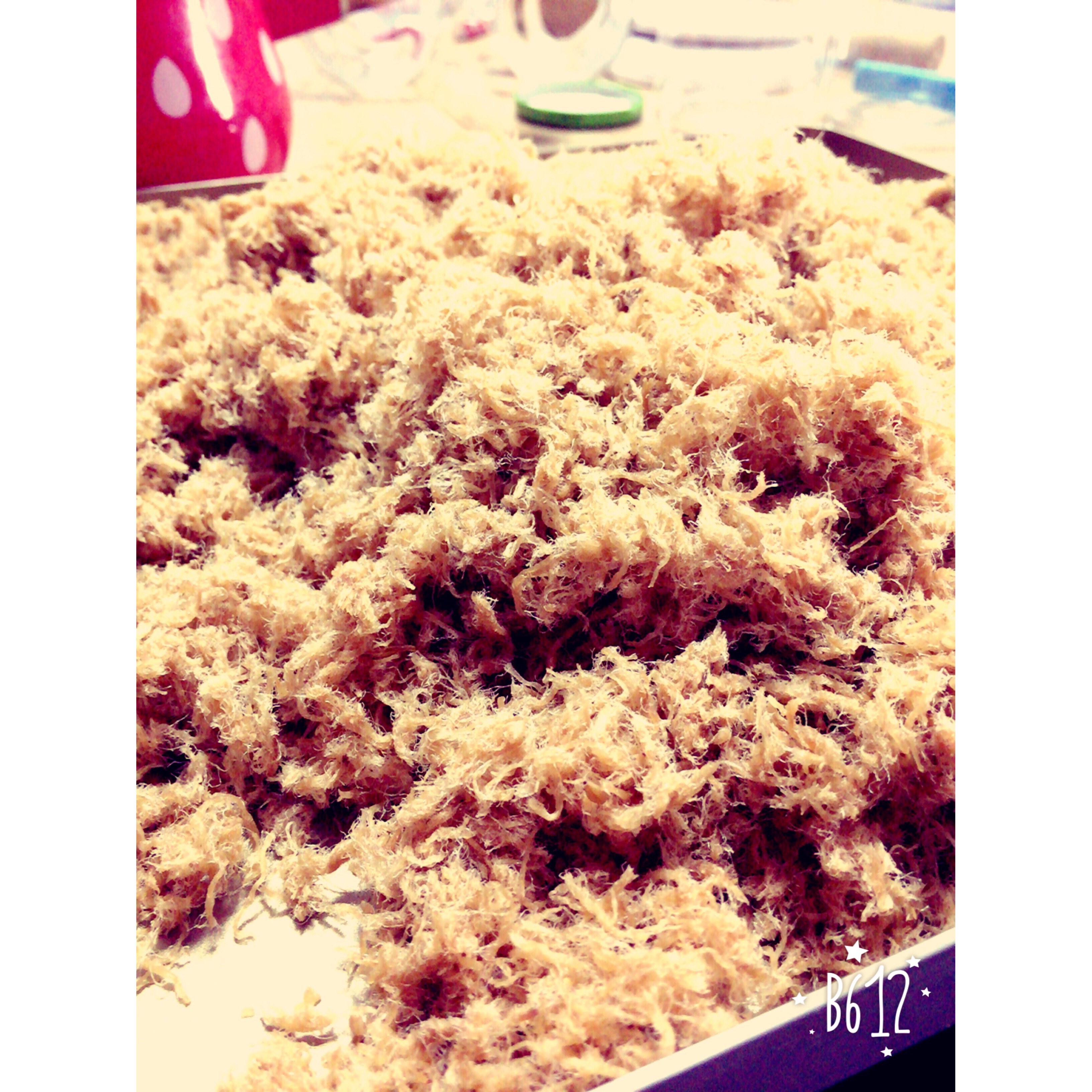 面包机自制肉松