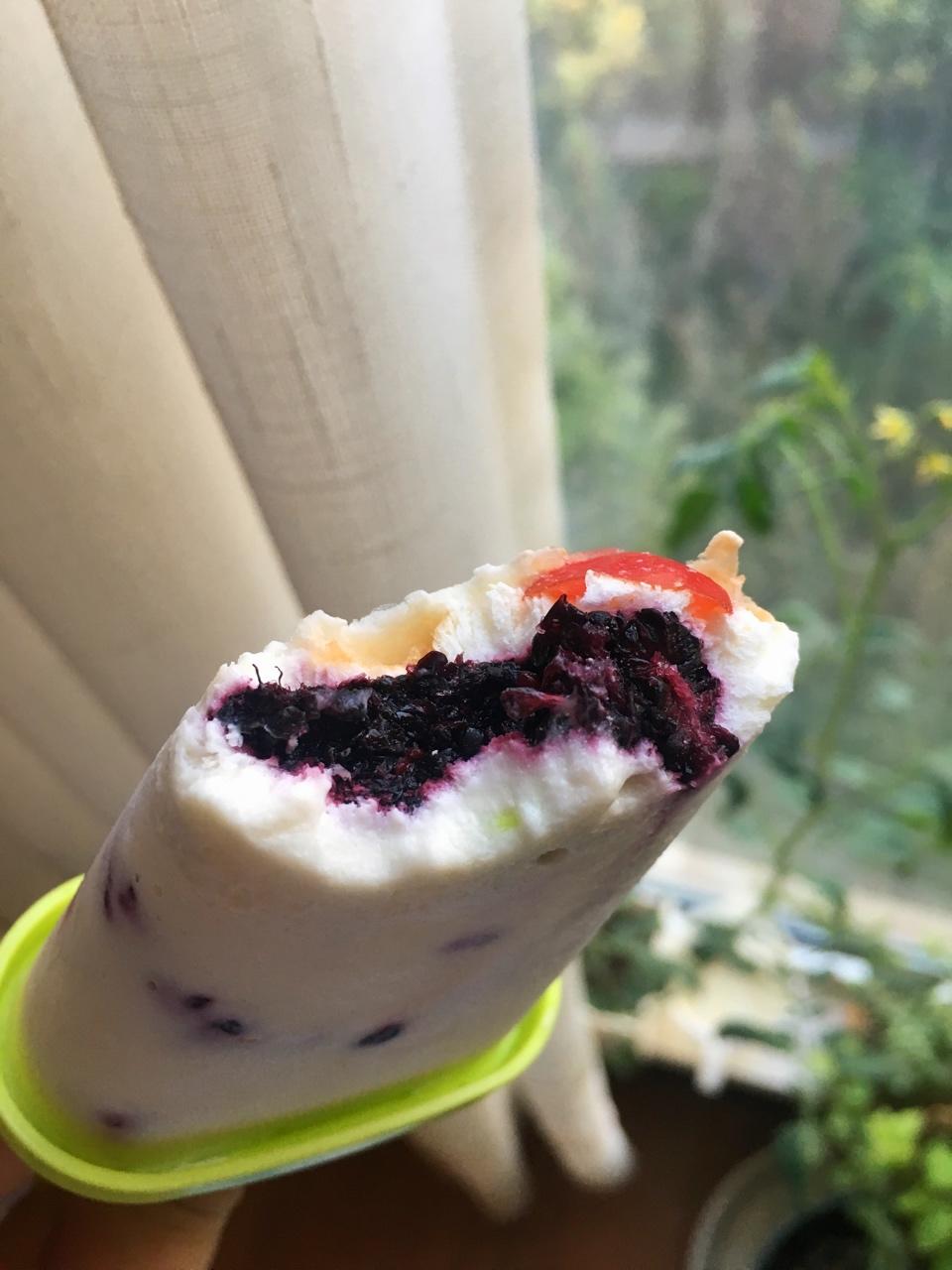 酸奶冰激凌（只需三步骤哦）