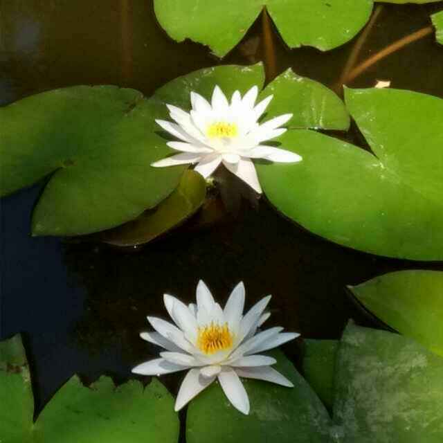 手机用户6693_rqoj