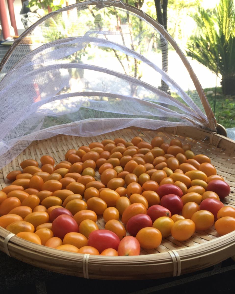 意大利菜基础：慢烤小番茄